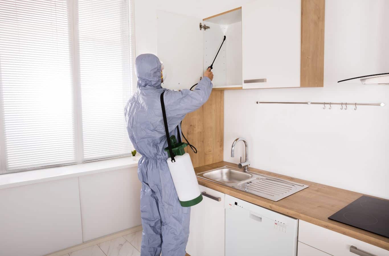 A skilled specialist from Cura Termite and Pest Control treating a property in Chino, CA, highlighting the benefits of professional pest control.