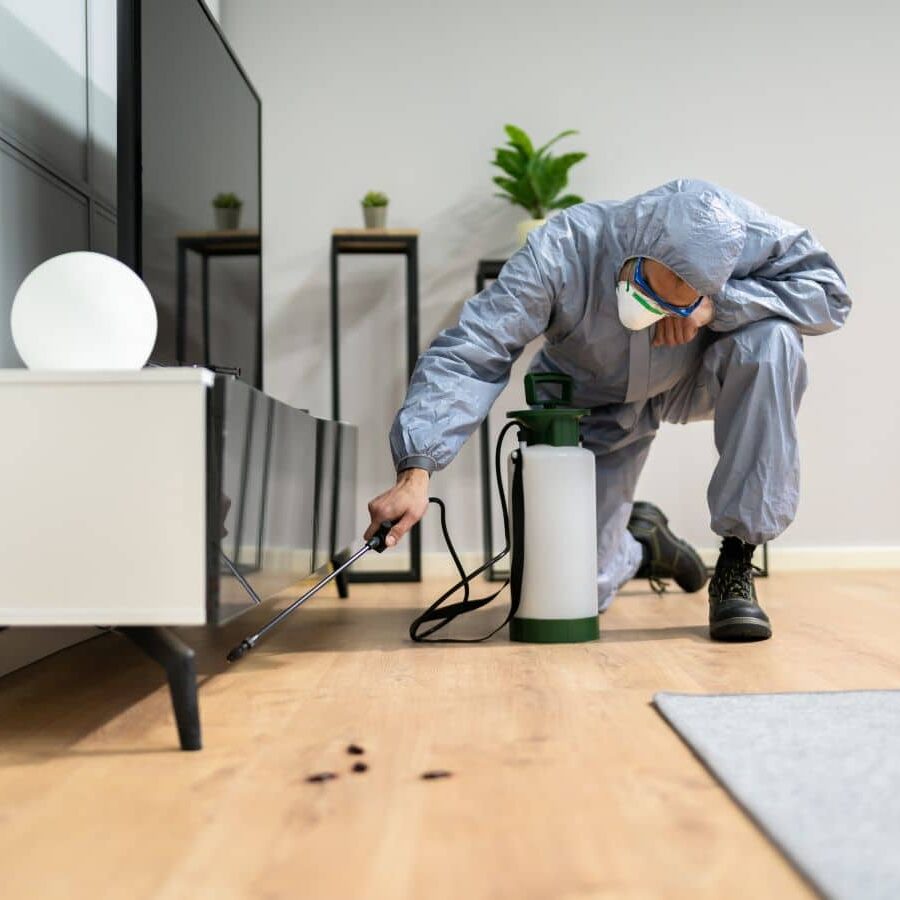 Technician from CURA Termite & Pest Control applying pest control treatment at a home in Laguna Niguel, CA.