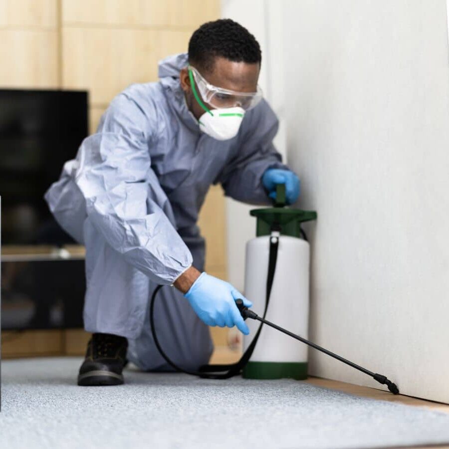 CURA Termite and Pest Control highlighting benefits of pest extermination services in Yorba Linda, CA