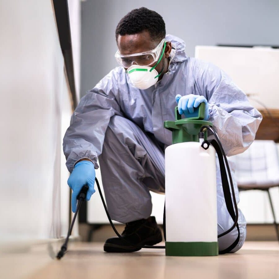 A CURA team member delivering termite extermination in Tustin, demonstrating the benefits of using a local professional for termite control services.