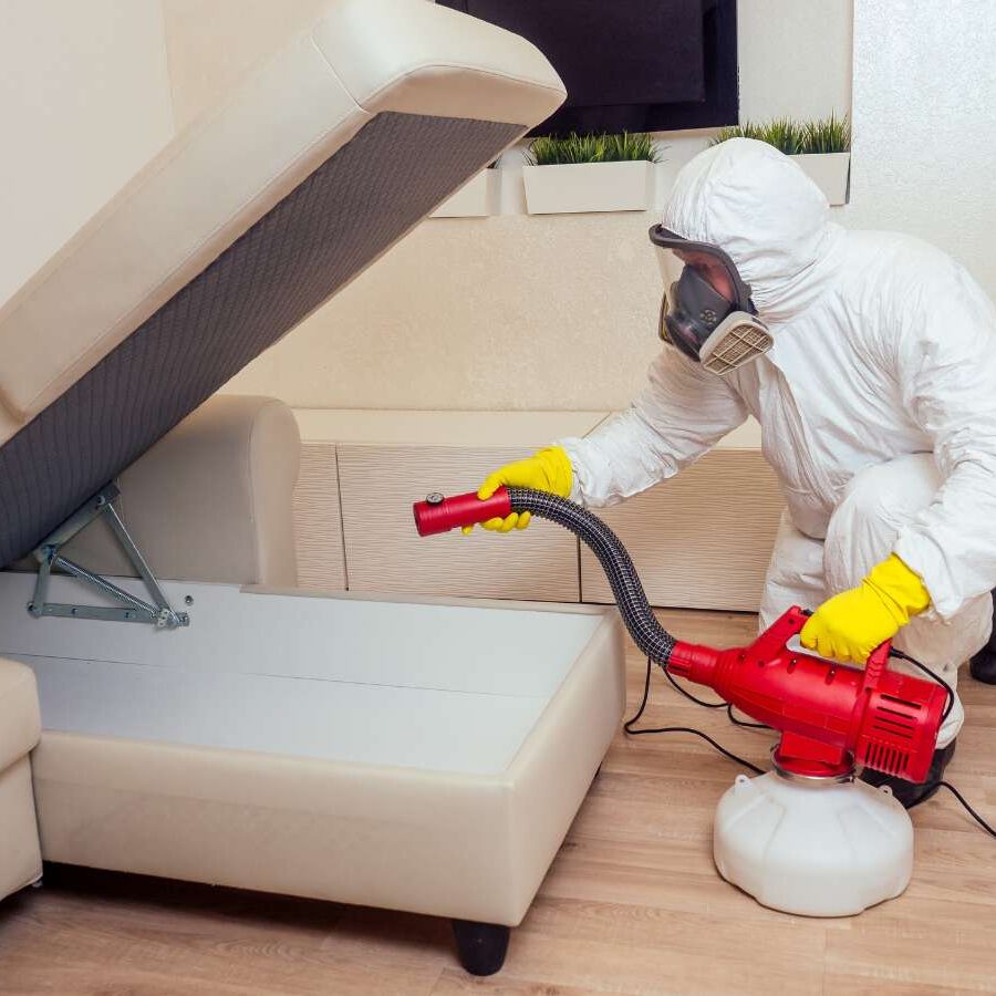 CURA Termite & Pest Control specialists in action, applying eco-friendly pest control treatments in a residential area of Orange, CA, ensuring a pest-free environment.