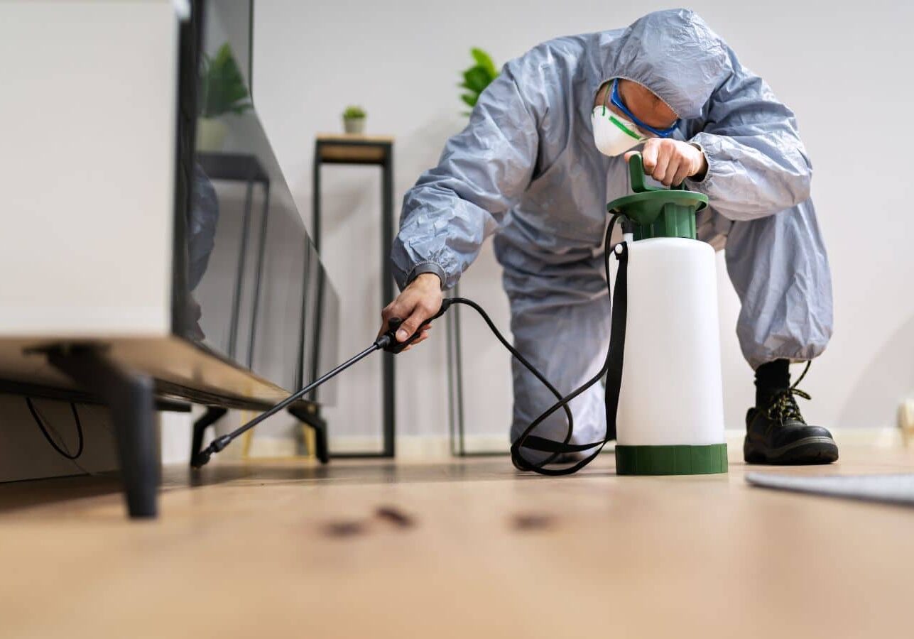 CURA Pest Control expert providing pest extermination services in Huntington Beach, CA.