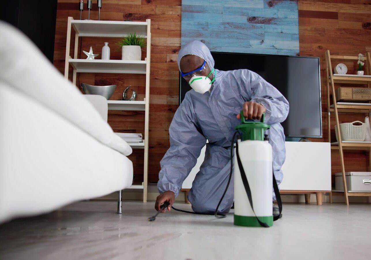 CURA Pest Control expert providing termite extermination services in Huntington Beach, CA.