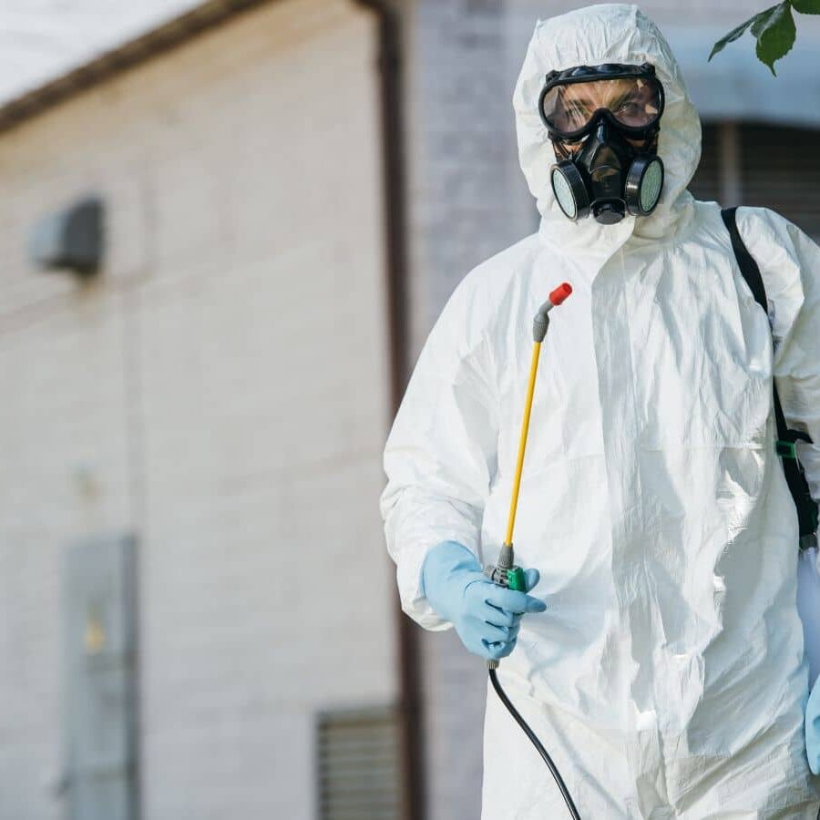 Learn why CURA Termite and Pest Control is the trusted choice for pest control in Costa Mesa, CA, offering reliable and efficient services, Pest Control Near Me