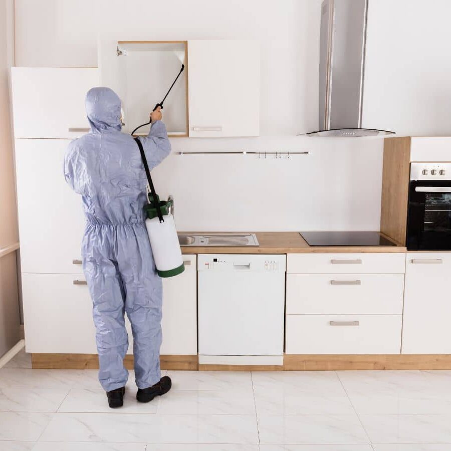 CURA Termite and Pest Control technician ensuring a pest-free home in Downey, CA, showcasing quality service and dedication. Pest Control near me.